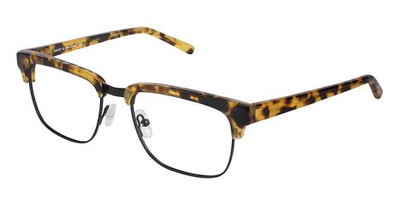 Tokyo Tortoise (TOKYO TORTOISE)