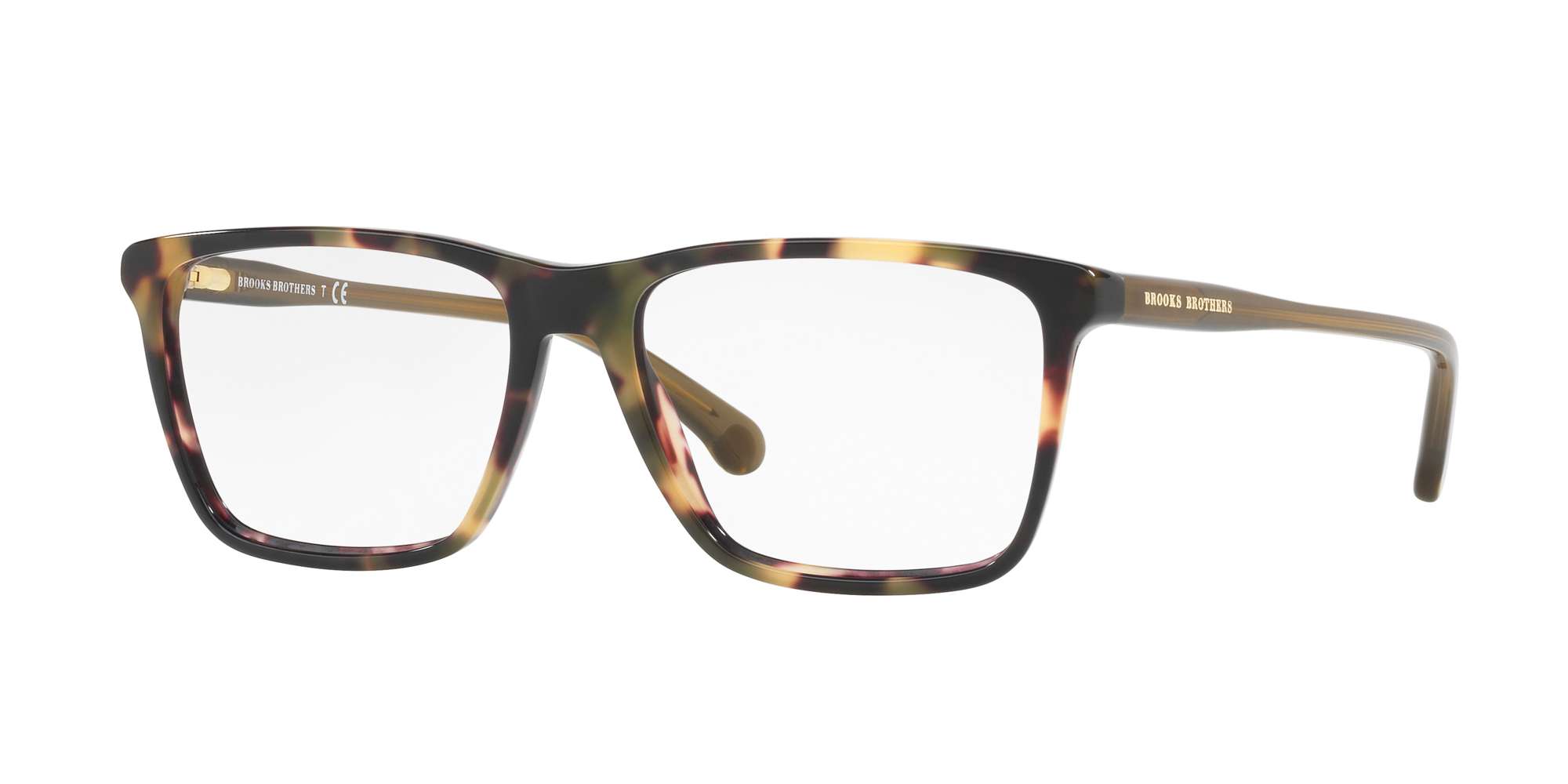 RETRO TORTOISE/OLIVE TRA