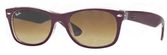 Top Brodeaux on Transparent Gradient Brown Polarized (6054M2)