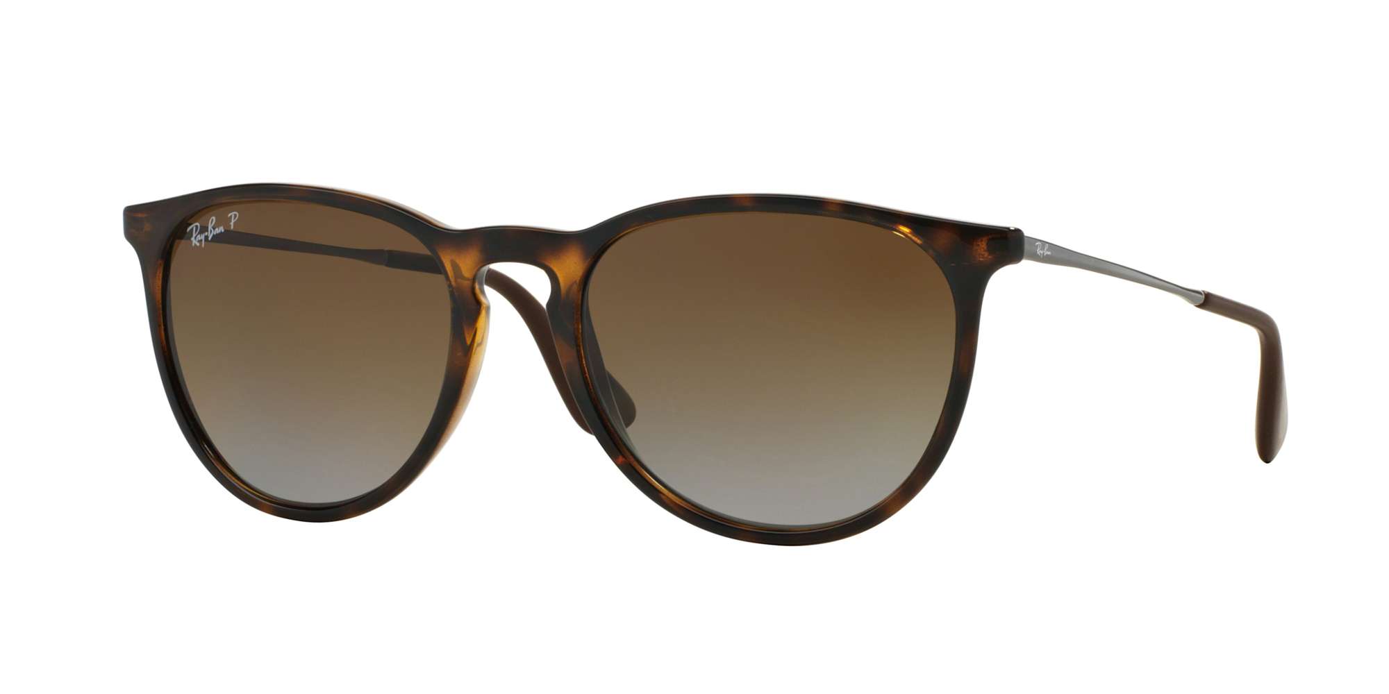 HAVANA / POLAR BROWN GARDIENT lenses