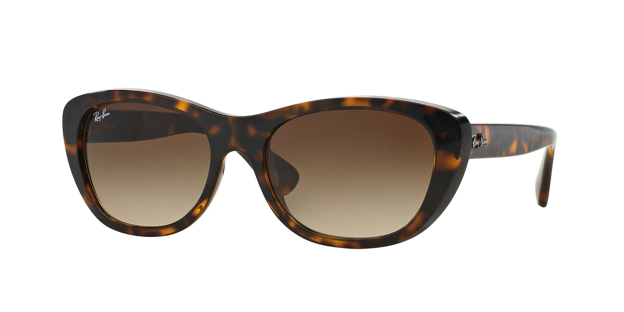 LIGHT HAVANA / BROWN GRADIENT lenses