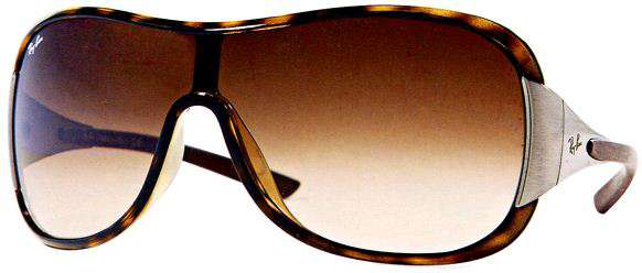RB 4091 Sunglasses | Best Buy Eyeglasses display picture 3