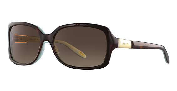 LT TORT/TURQUOISE / BROWN GRADIENT lenses