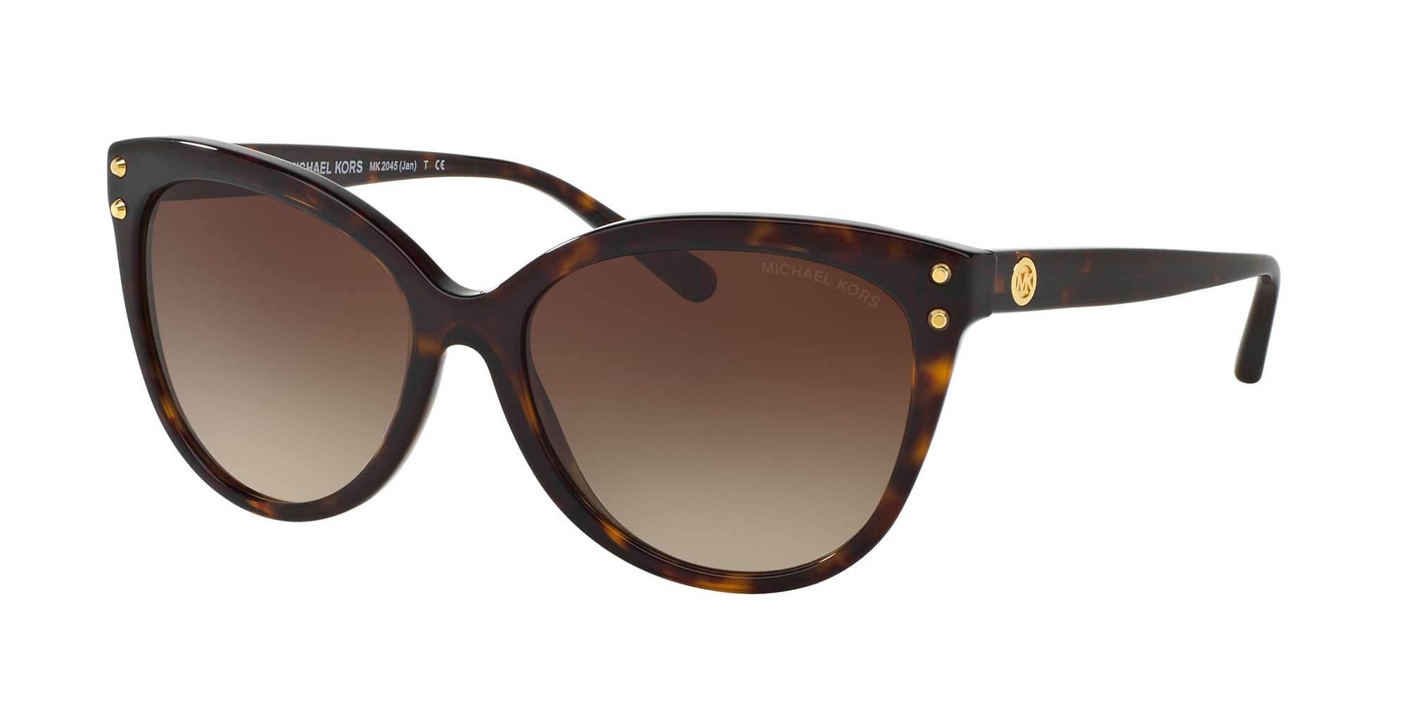 DARK TORTOISE ACETATE / BROWN GRADIENT lenses