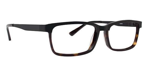 Black/Tortoise (BTR)