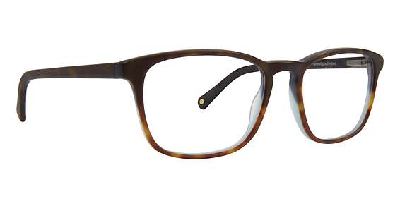 Matte Tortoise (MTR)
