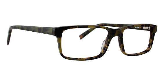 Olive Tortoise (OTR)