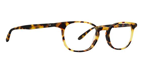 Tortoise (TORT)
