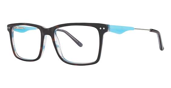 Blue Tortiose