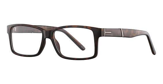 Dark Tortoise (C-2)