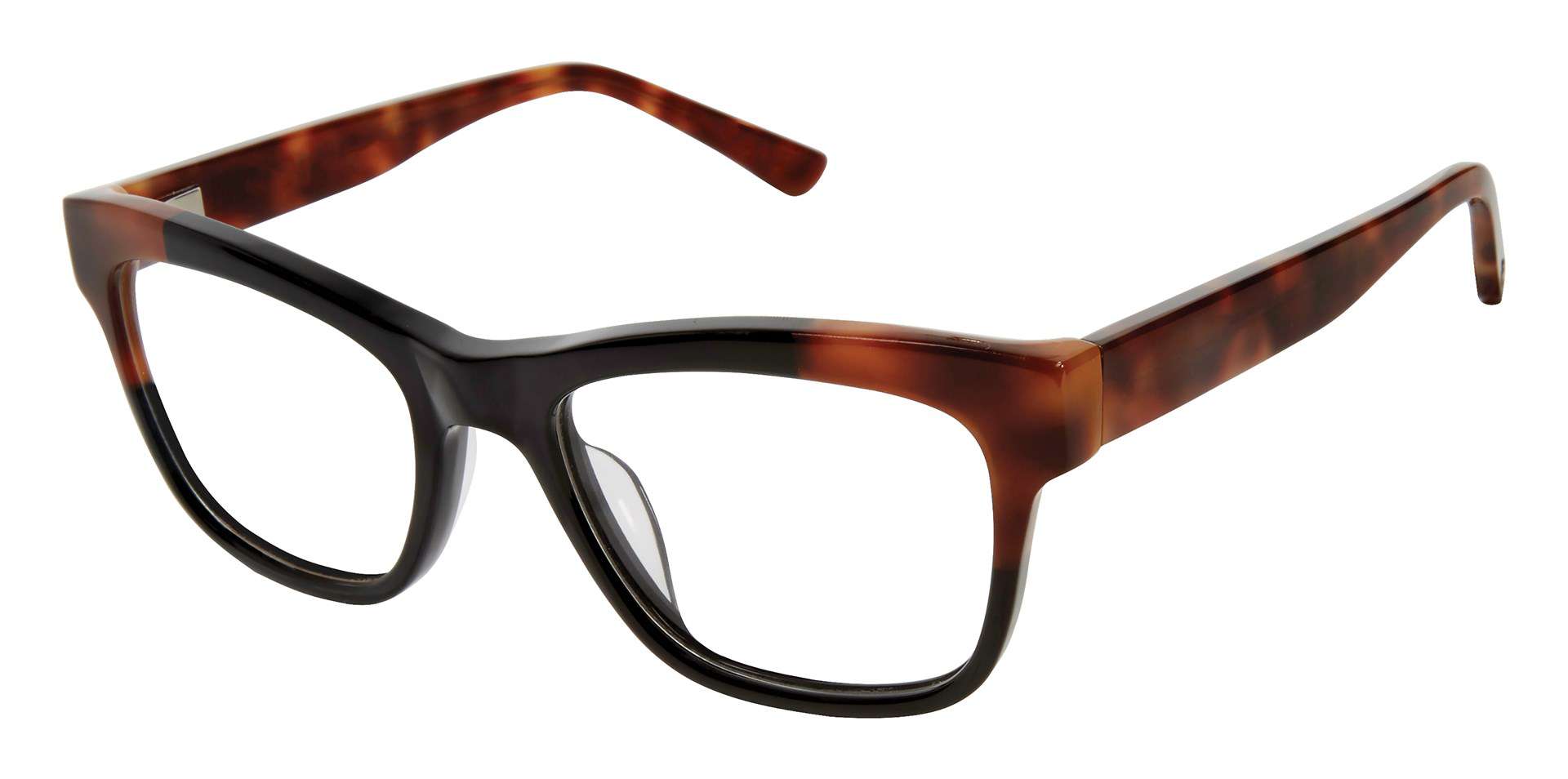 Black Tortoise (BLK)