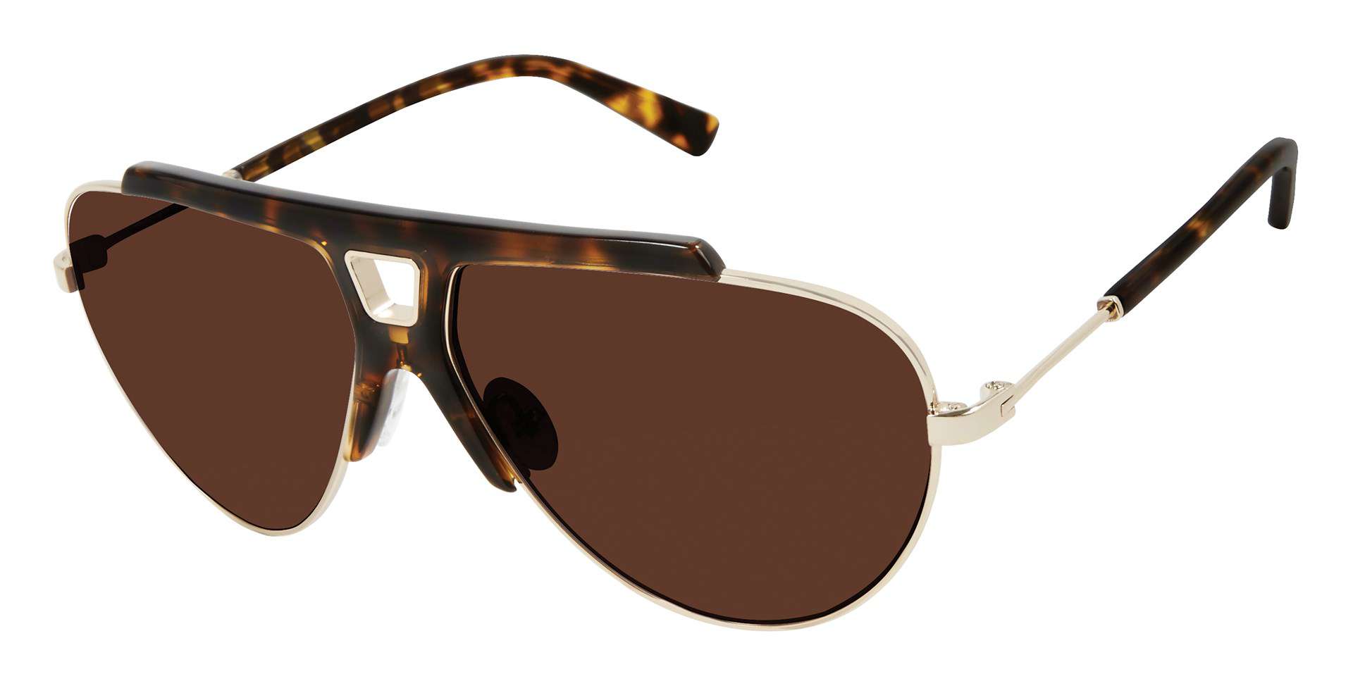 Tortoise Gold (TOR)