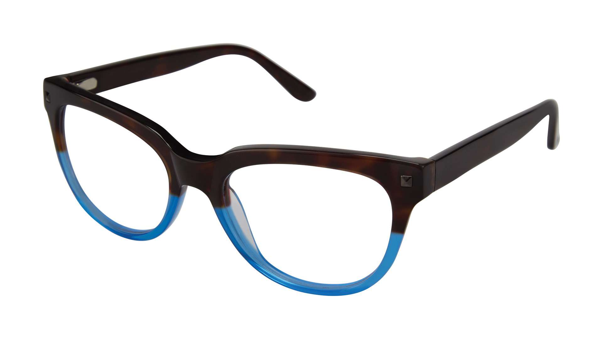 Tortoise/Blue (TOR)