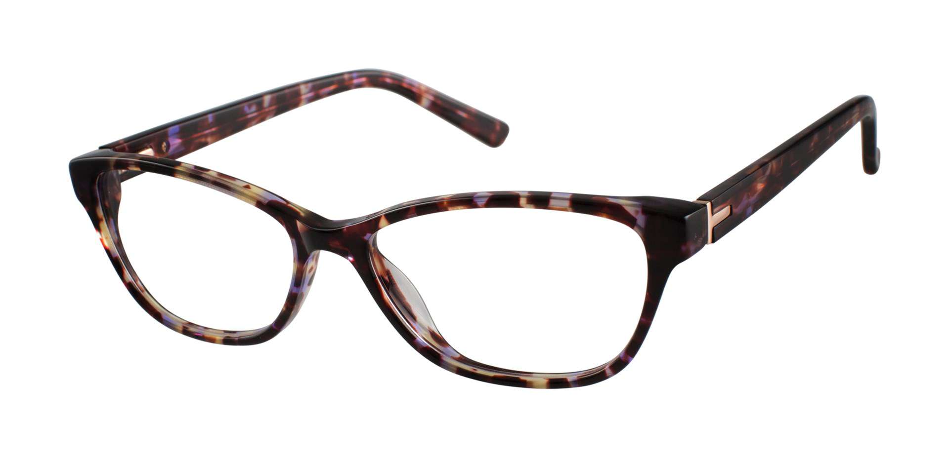 Purple Tortoise (PUR)