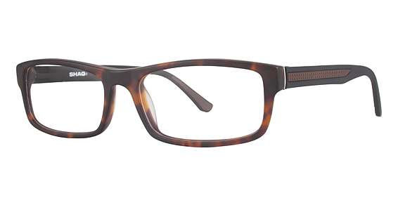 Tortoise (024)