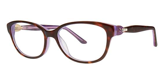 Tortoise (024)