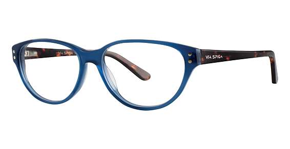 Navy/Tortoise (770)