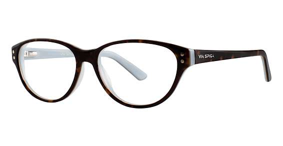 Tort/Lt. Blue (550)