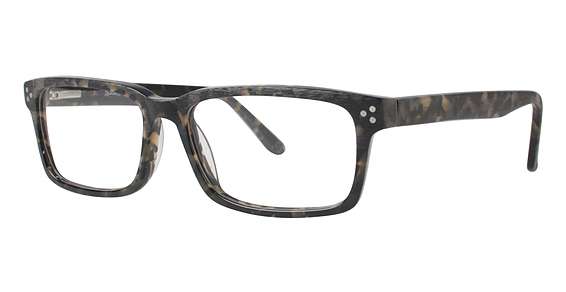 Tortoise (024)