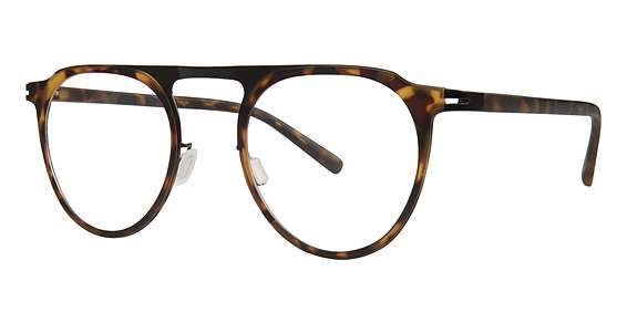 Tortoise (024)