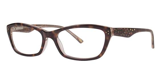 Tortoise (024)