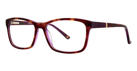 Tortoise (024)