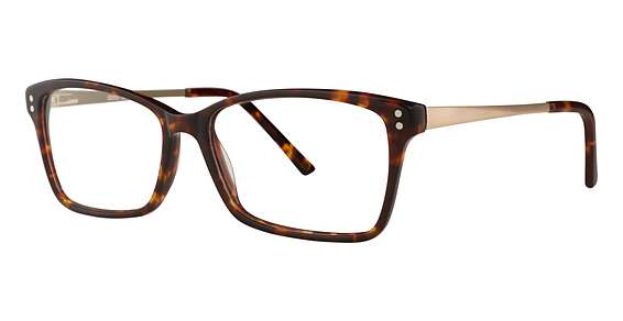 Tortoise (024)