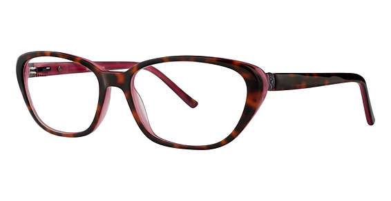 Tortoise (024)