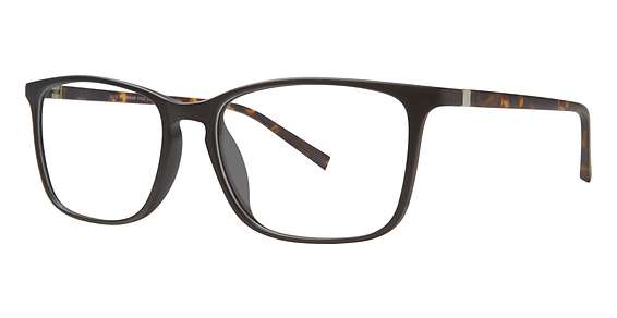 Black/Tortoise