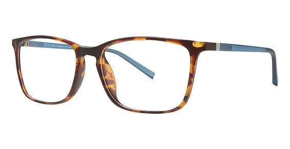 Tortoise/Blue