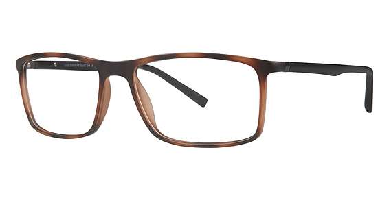 Tortoise/Black