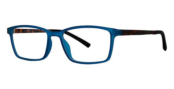 Blue/Tortoise