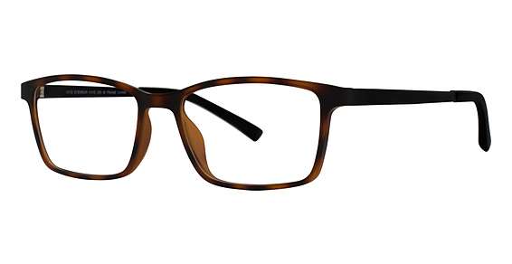 Tortoise/Black