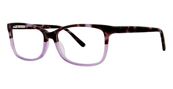 Purple Tortoise/Purple