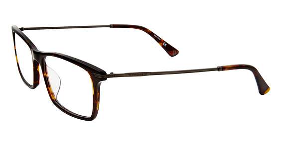 Dark Tortoise 0786