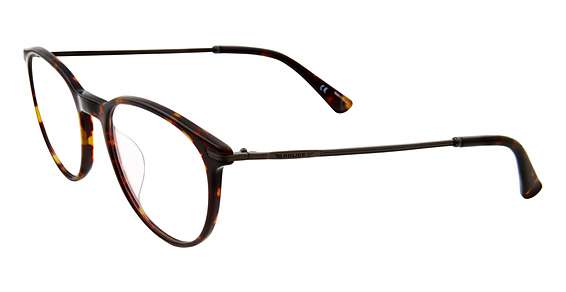 Dark Tortoise 0786