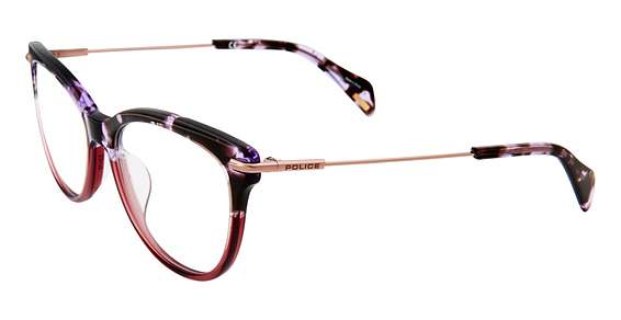 Purple Tortoise Burgundy 0987