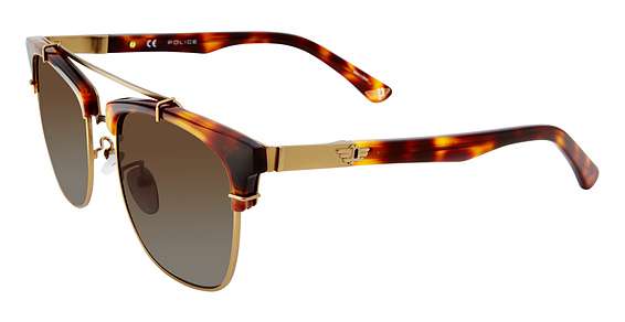 Tortoise Gold 08Ft