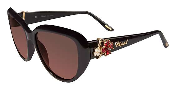 Shiny Black 0700
