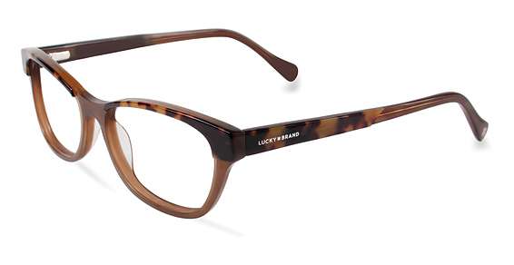 Tortoise Brown