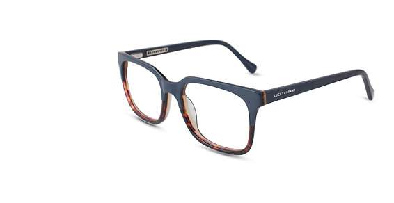 Blue/tortoise