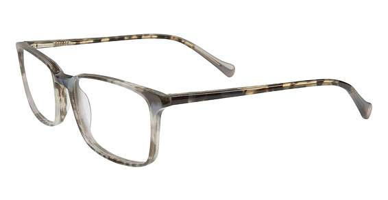 Grey Tortoise