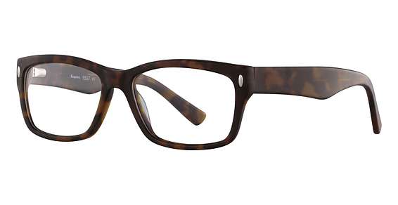 Matt Tortoise