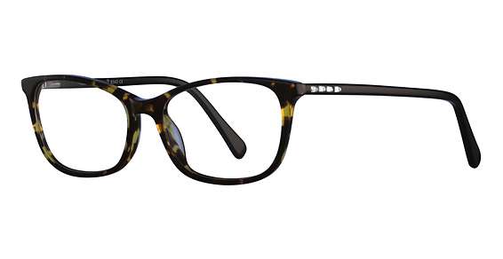 Tortoise/Black