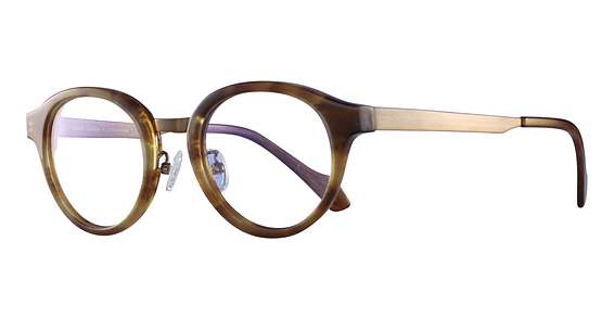 Brown Transparency Stripe (C4)