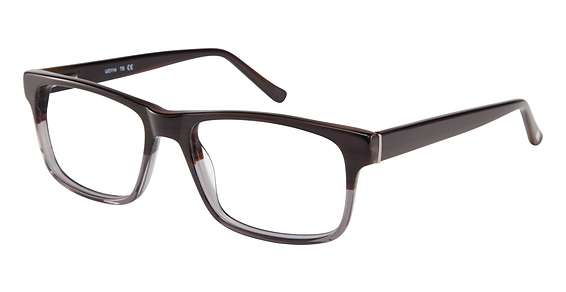 GREY TORTOISE (TS)