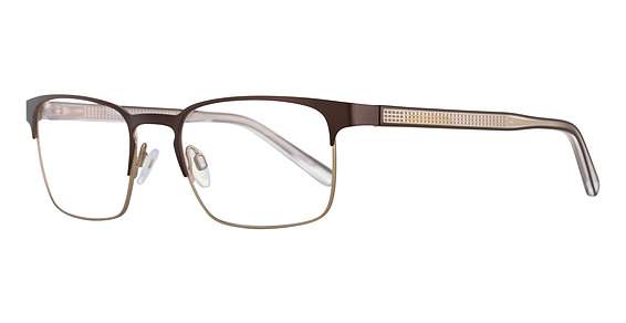 Matt Dark Brown & Light Gold (10)