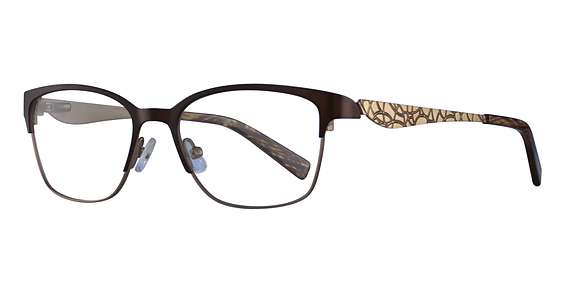 1-Matt Dark Brown & Matt Gold (10)