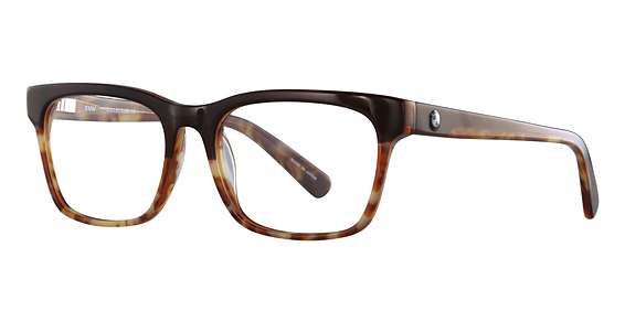 Dark Brown & Demi Brown (10)