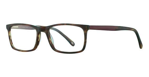 TORTOISE/BURGUNDY